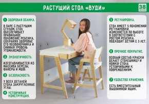 Комплект растущий стол и стул с чехлом 38 попугаев «Вуди» (Белый, Белый, Клетка) в Шадринске - shadrinsk.mebel-74.com | фото