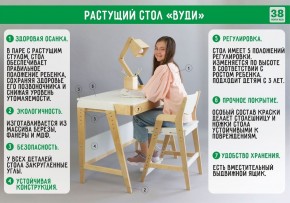 Комплект растущий стол и стул с чехлом 38 попугаев «Вуди» (Серый, Береза, Салют) в Шадринске - shadrinsk.mebel-74.com | фото