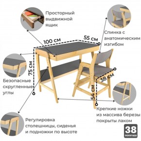 Комплект растущий стол и стул с чехлом 38 попугаев «Вуди» (Серый, Береза, Серый) в Шадринске - shadrinsk.mebel-74.com | фото