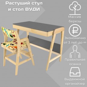 Комплект растущий стол и стул с чехлом 38 попугаев «Вуди» (Серый, Без покрытия, Монстры) в Шадринске - shadrinsk.mebel-74.com | фото
