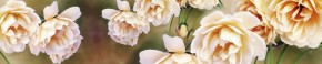 Кухонный фартук Цветы 066 МДФ матовый (3000) Flowers в Шадринске - shadrinsk.mebel-74.com | фото