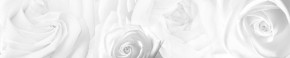 Кухонный фартук Цветы 217 МДФ матовый (3000) Flowers в Шадринске - shadrinsk.mebel-74.com | фото