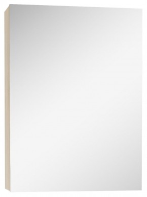 Шкаф-зеркало Мечта 50 Дуб сонома АЙСБЕРГ (DM2318HZ) в Шадринске - shadrinsk.mebel-74.com | фото