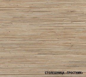 ТОМИЛЛА Кухонный гарнитур Оптима 5 (2700*1600 мм ) в Шадринске - shadrinsk.mebel-74.com | фото
